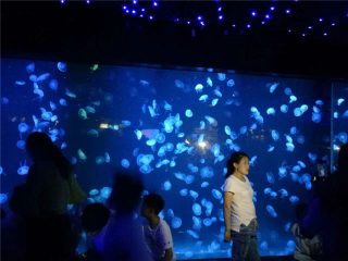 Verre de réservoir d'aquarium de méduses acrylique 2018