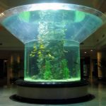 pmma verre aquarium demi-cylindre plexiglas clair aquarium