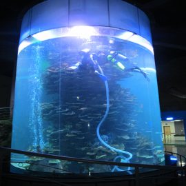 grand aquarium acrylique transparent pour aquariums ou parc océanique