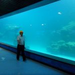 Panneau acrylique UV de mur de fonte pour aquarium, oceanarium