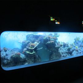 Aquarium de poissons transparent acrylique moulé de fonte artificielle / fenêtre de vue