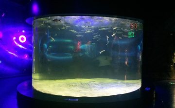 Aquarium acrylique