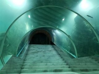Prix du projet aquarium tunnel acrylique