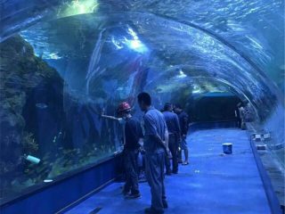 Acrylique tunnel oceanarium projet dans les aquariums publics