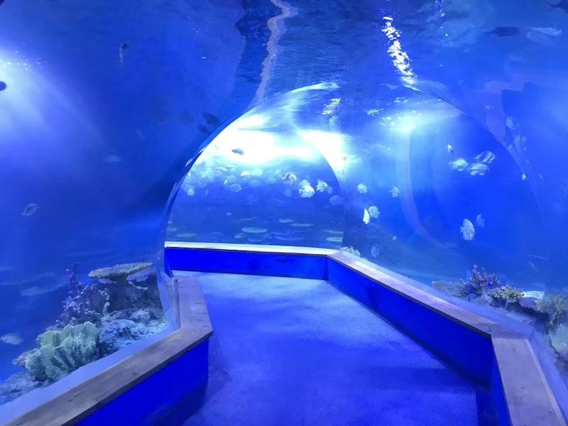 Acrylique pmma clair Grand tunnel en plastique pour aquarium
