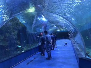 Aquarium tunnel acrylique en plexiglas sur mesure