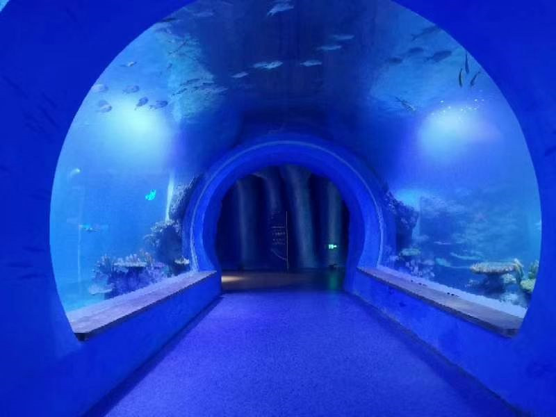 Aquarium acrylique grand tunnel haut transparent de différentes formes