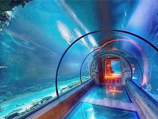 Long tunnel d'aquarium acrylique design moderne