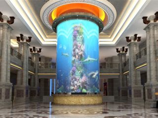 aquarium acrylique grand cylindre