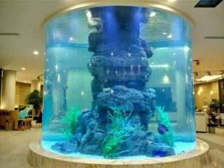 aquarium en cristal