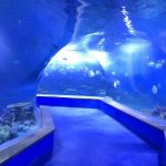 verre acrylique transparent Tunnel aquarium
