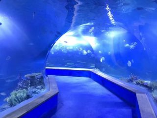 verre acrylique transparent Tunnel aquarium