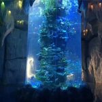 panneaux acryliques transparents pour grand aquarium, aquariums